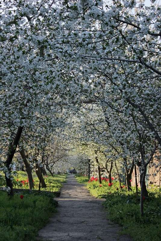 �������� ������ ����� �����  �� PhotoGeek.ru #������ ��� ������� #����� ��������������