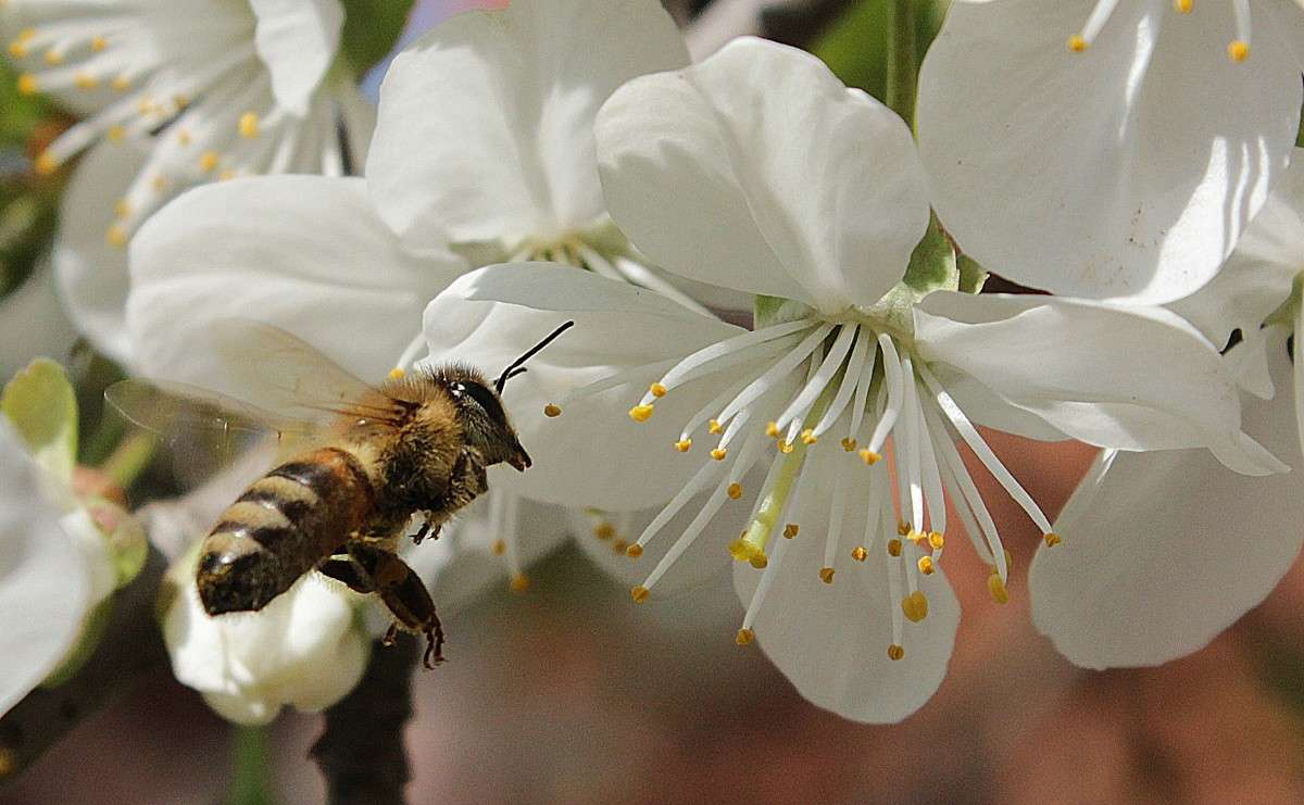 �� ����� ����� �����  �� PhotoGeek.ru #�������� ��� #����� ��� ��� ���������