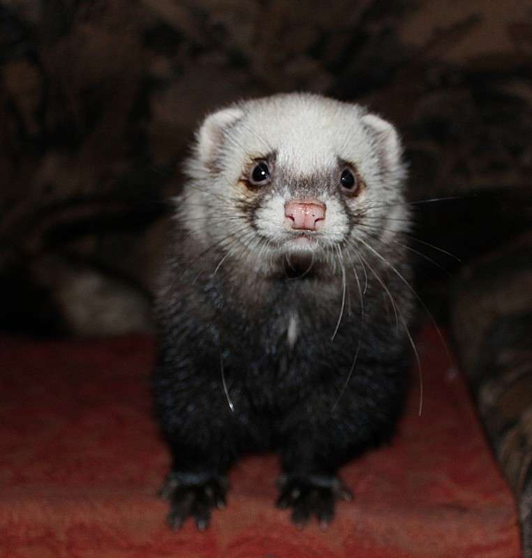 � ��� ����������� ������... ����� �����  �� PhotoGeek.ru #�������� ��� #�������