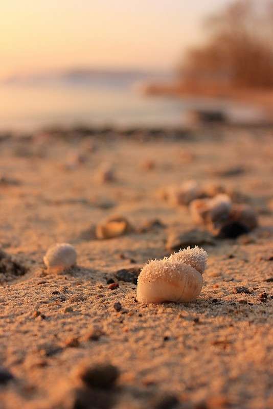 ������������ ������� 2 ����� �����  �� PhotoGeek.ru #������ ��� ������� #���������