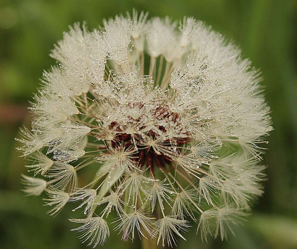 ����� ���������  ���� ����� �����  �� PhotoGeek.ru #������ ��� ������� #���������