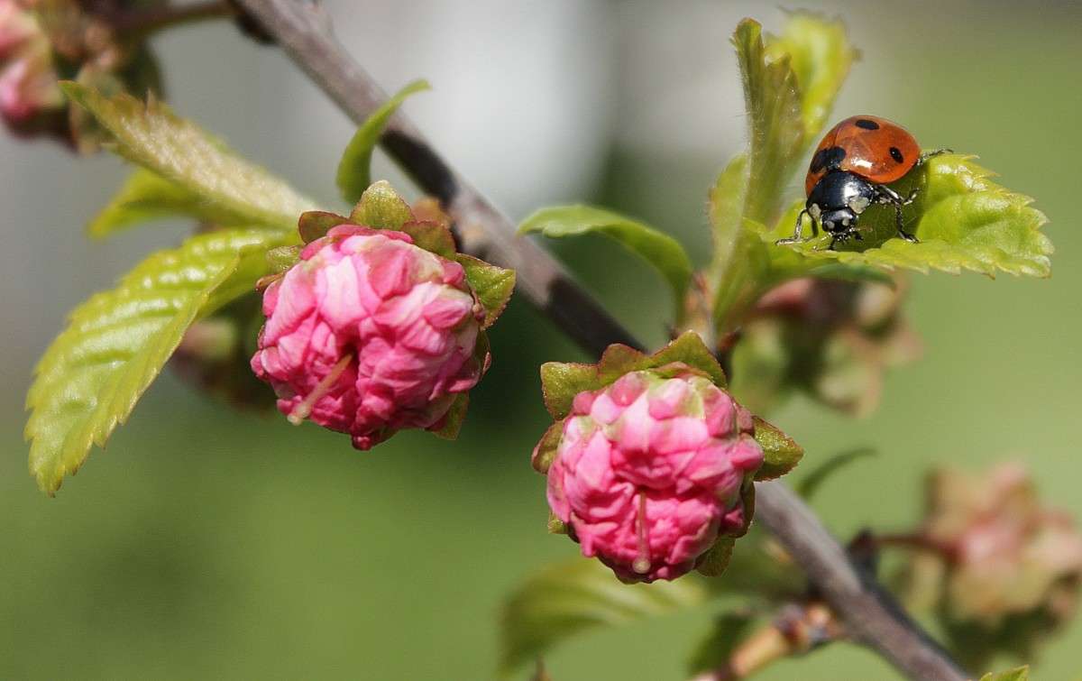 ���������� �������) ����� �����  �� PhotoGeek.ru #������ ��� ������� #���������