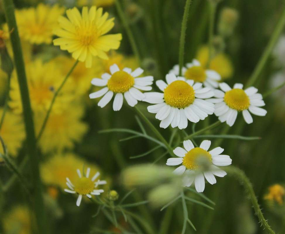 ������ � ����� ����� �����  �� PhotoGeek.ru #������ ��� ������� #����� ��������������