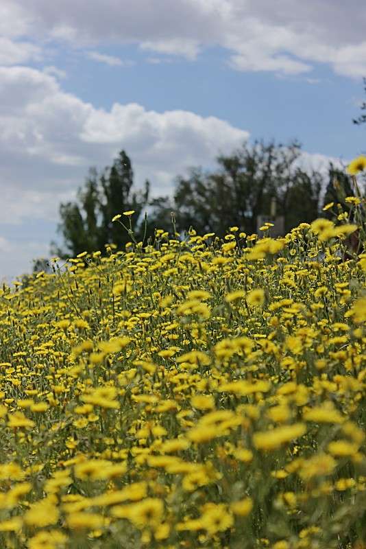 ��� ����� �����  �� PhotoGeek.ru #������ ��� ������� #����� ��������������