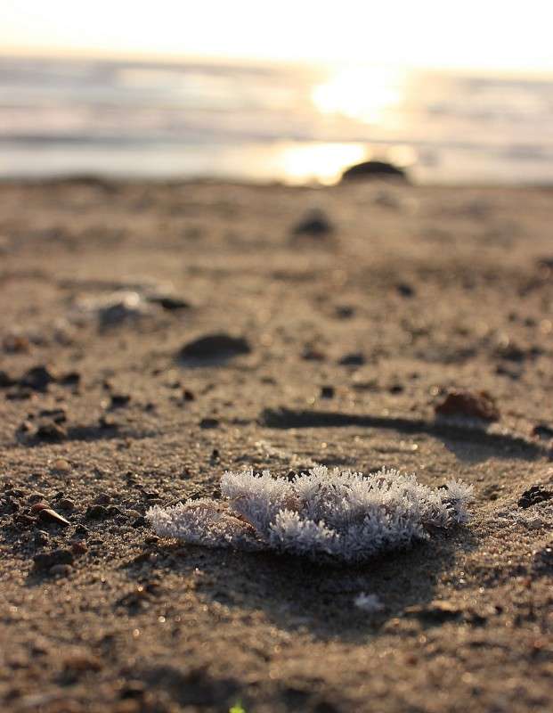 ������)) ����� �����  �� PhotoGeek.ru #������ ��� ������� #���������