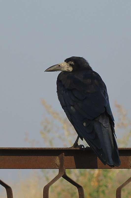 ������ ���� ����� �����  �� PhotoGeek.ru #�������� ��� #����� ��� ��� ���������