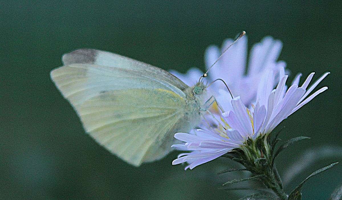 ... ����� �����  �� PhotoGeek.ru #�������� ��� #����� ��� ��� ���������