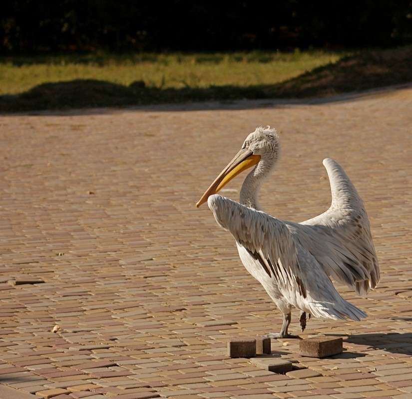 ����� �� ���� � ���� �� ������))) ����� �����  �� PhotoGeek.ru #�������� ��� #����� ��� ��� ���������