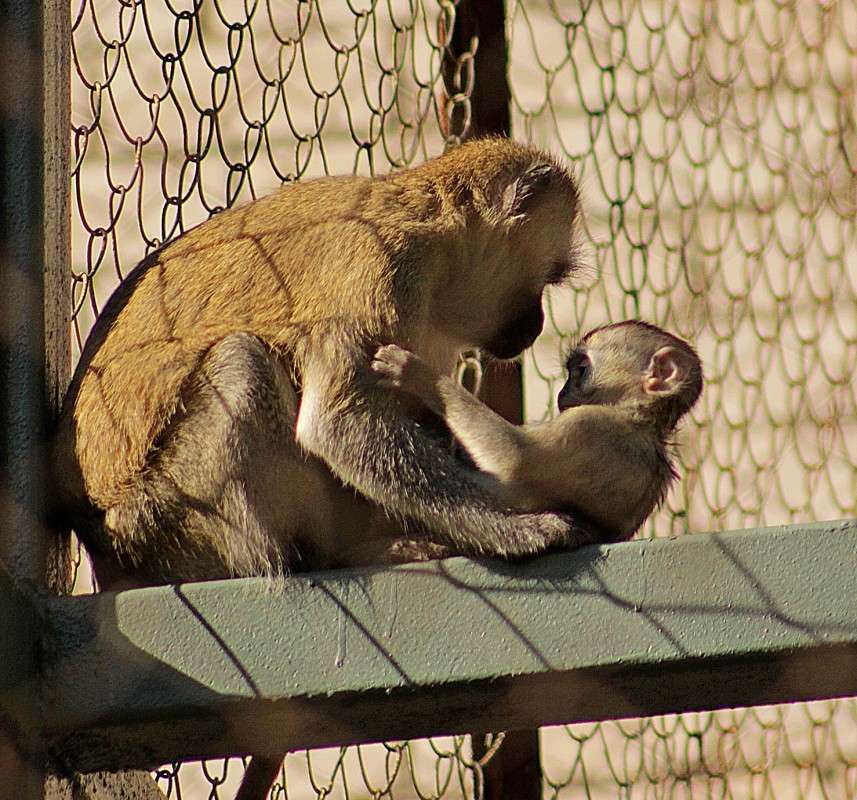 ���� � ���� ����� �����  �� PhotoGeek.ru #�������� ��� #����� ��� ��� ���������