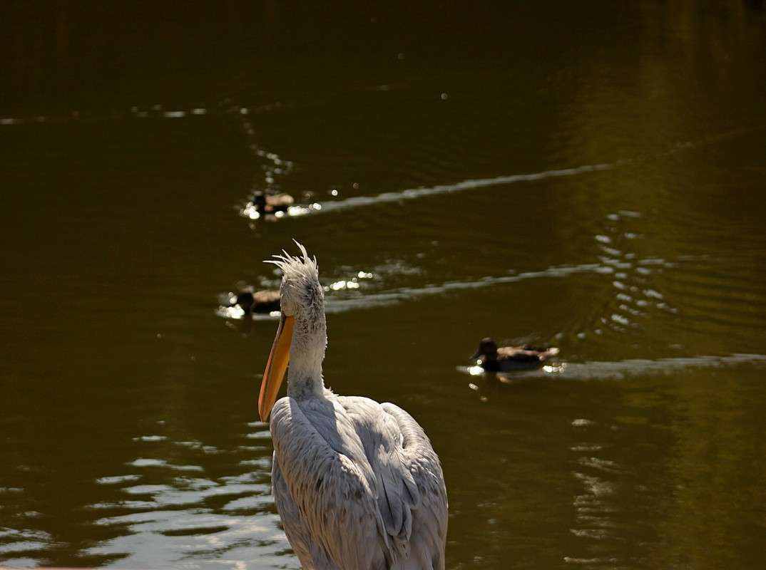 �������� ������ ������ ����� �����  �� PhotoGeek.ru #�������� ��� #����� ��� ��� ���������