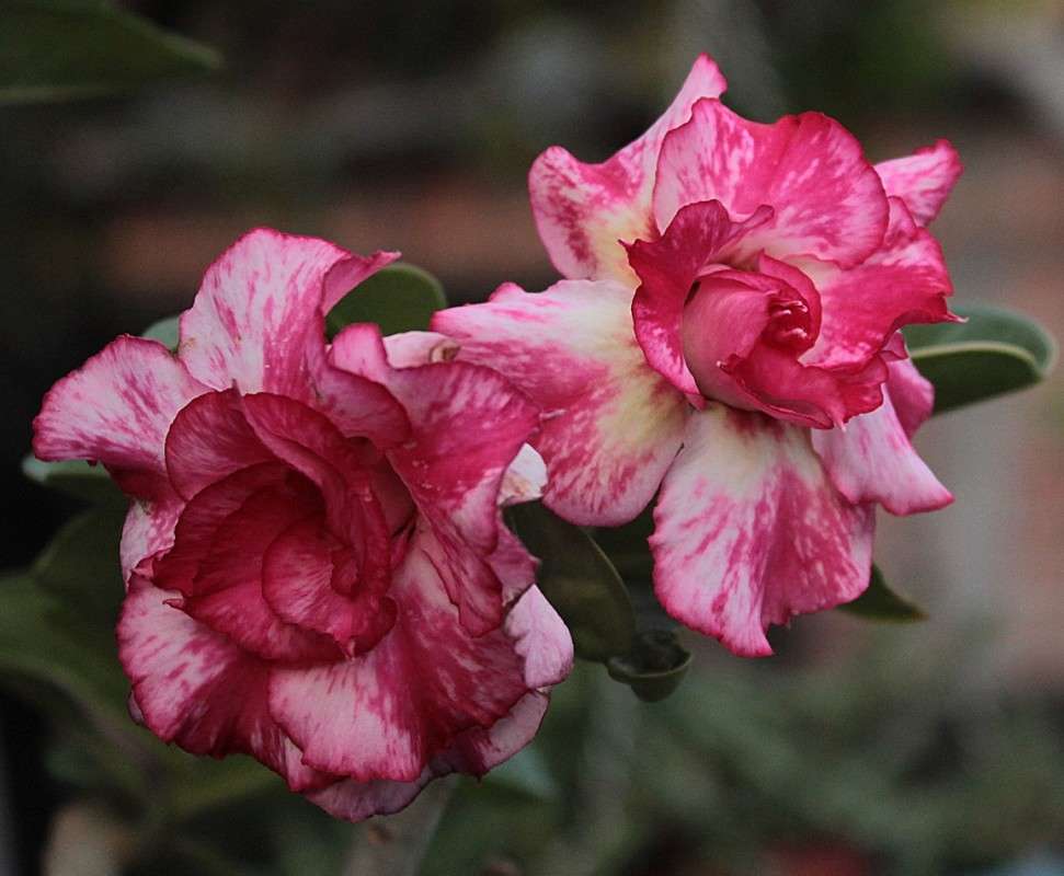 ���� ������� ����� �����  �� PhotoGeek.ru #������ ��� ������� #����� ��������������