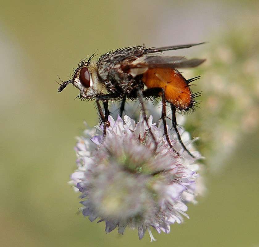 ����-�������� ����� �����  �� PhotoGeek.ru #����� #���������