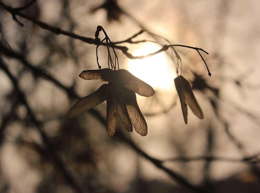 ����� ������ ����� �����  �� PhotoGeek.ru #������ ��� ������� #����� ��������