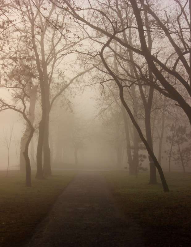 ���� �������� ����� �����  �� PhotoGeek.ru #������ ��� ������� #����� ��������