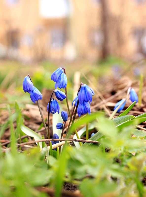 � ��������� ����� �����  �� PhotoGeek.ru #������ ��� ������� #����� �������������� #���������