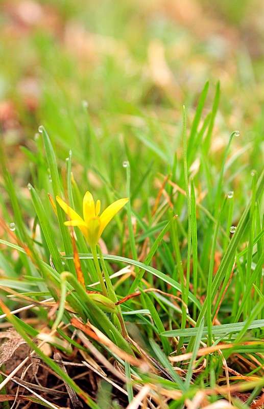 � ��� ���� �������� ����� �����  �� PhotoGeek.ru #������ ��� ������� #����� �������������� #��������� #����� ��������