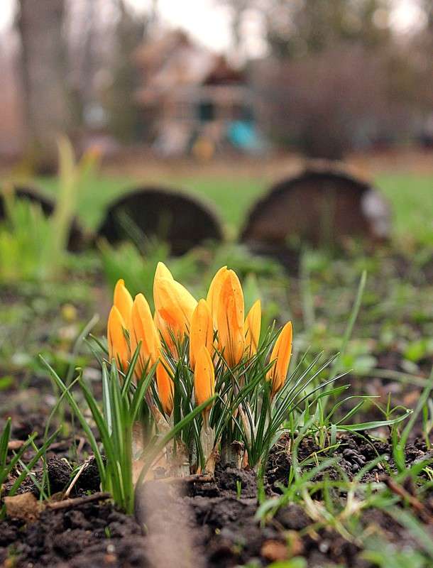 ����������� ������� ����� �����  �� PhotoGeek.ru #������ ��� ������� #����� ��������������