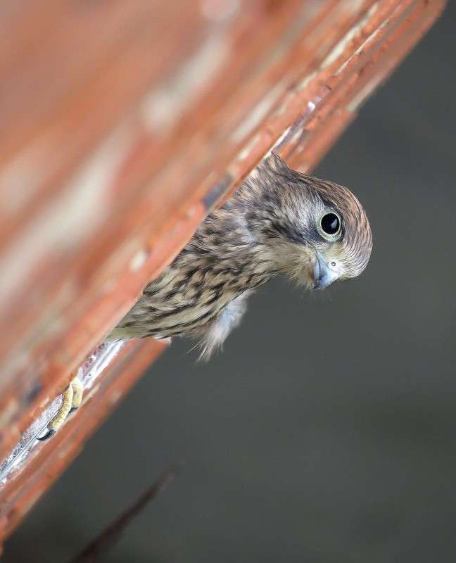 �� ���? ����� �����  �� PhotoGeek.ru #�������� ��� #������ ��� ������� #����� ��� ��� ���������