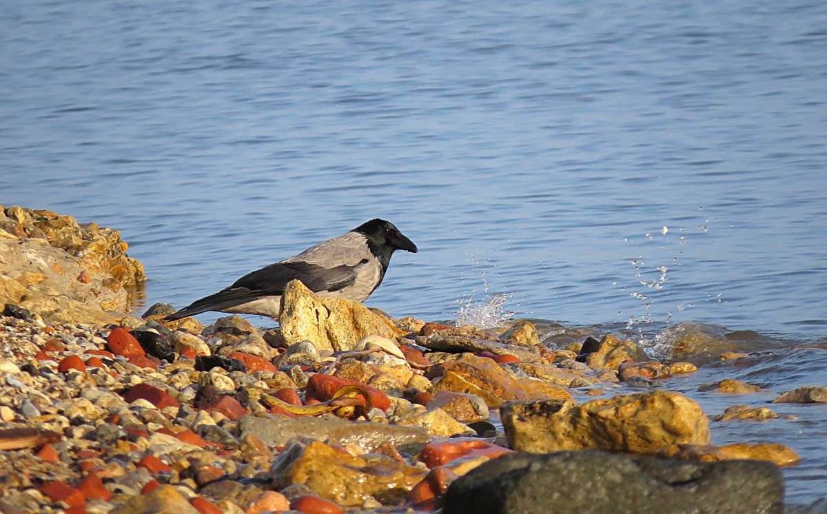 � ��������� ����� �����  �� PhotoGeek.ru #�������� ��� #����� ��� ��� ���������