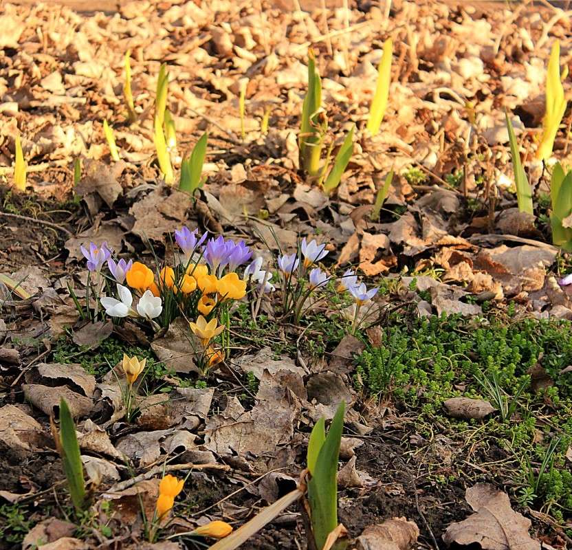 � ���������! ����� �����  �� PhotoGeek.ru #������ ��� ������� #����� �������������� #���������