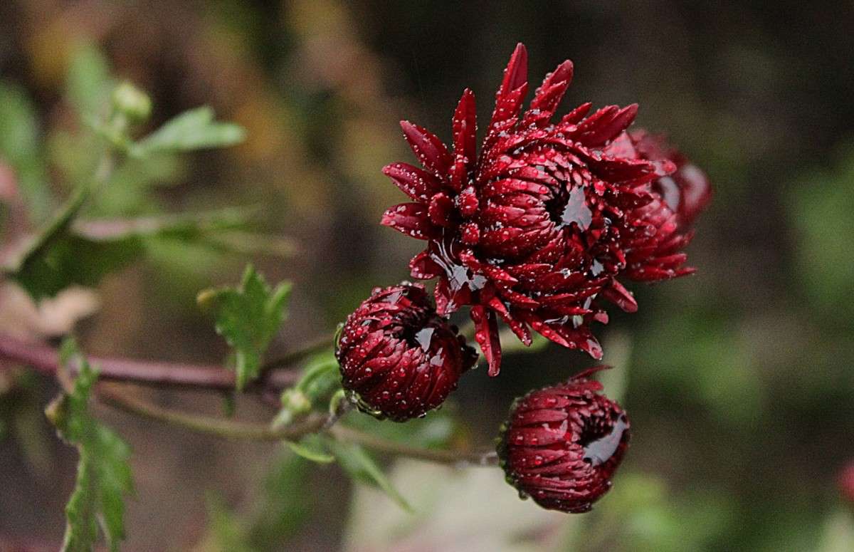 ����������� ����� �����  �� PhotoGeek.ru #����� #������ ��� ������� #����� ��������������