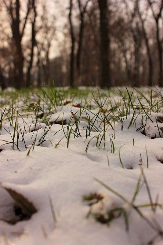 �����  ������ ����� �����  �� PhotoGeek.ru #������ ��� ������� #����� ��������������