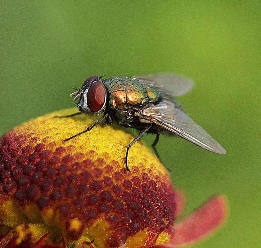 ���� �� ������� �������))) ����� �����  �� PhotoGeek.ru #����� #�������� ��� #���������