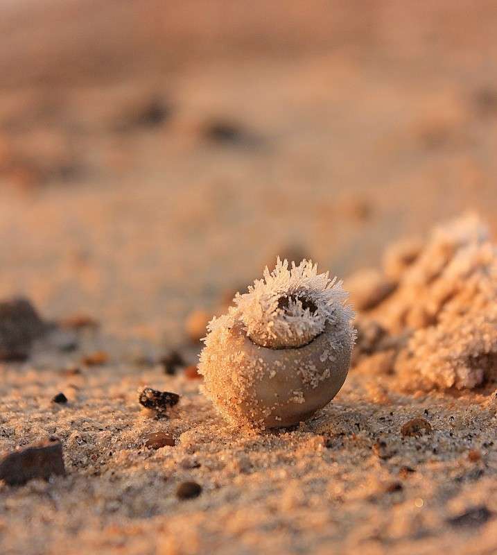 ... ����� �����  �� PhotoGeek.ru #������ ��� ������� #��������� #����� ��������