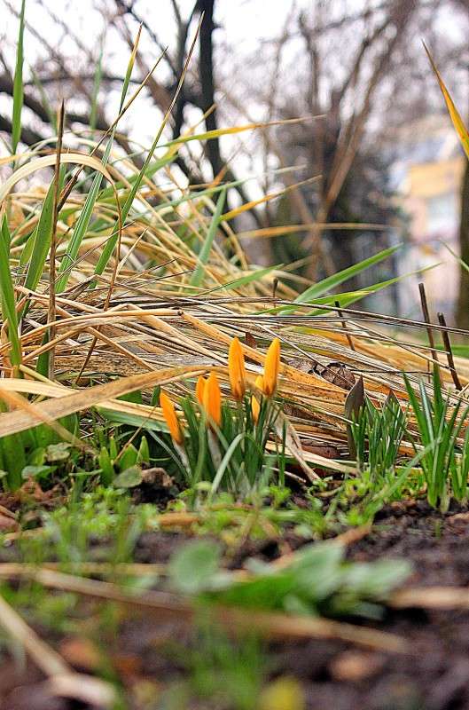 ����� ����,����� ������ ����� �����  �� PhotoGeek.ru #������ ��� ������� #����� �������������� #����� ��������