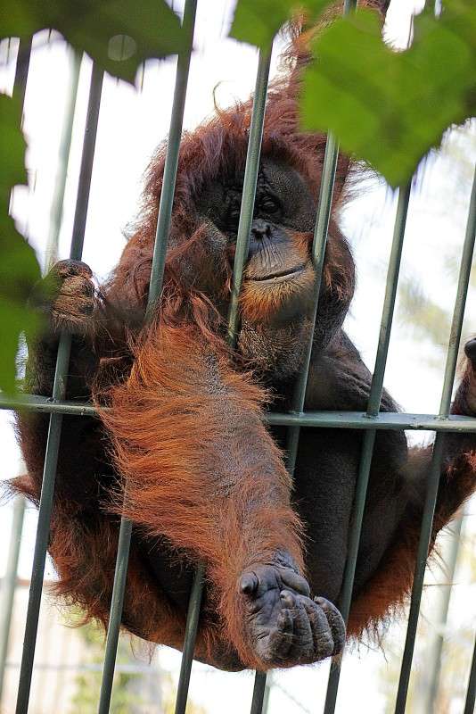 ������� �� ����������... ����� �����  �� PhotoGeek.ru #�������� ��� #����� ��� ��� ���������