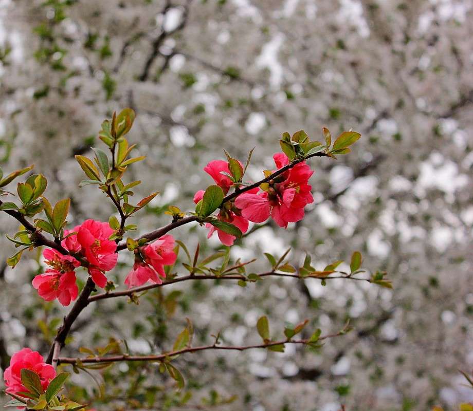 ����� ������ ����� �����  �� PhotoGeek.ru #������ ��� ������� #��������� #����� ��������