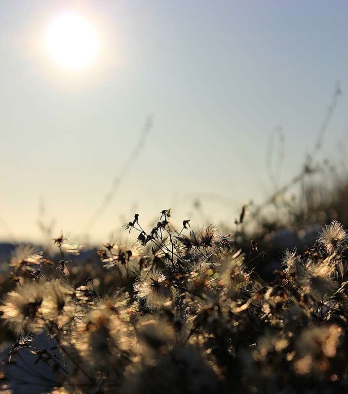 ����� ��� �������� ����� �����  �� PhotoGeek.ru #������ ��� ������� #��������� #����� ��������