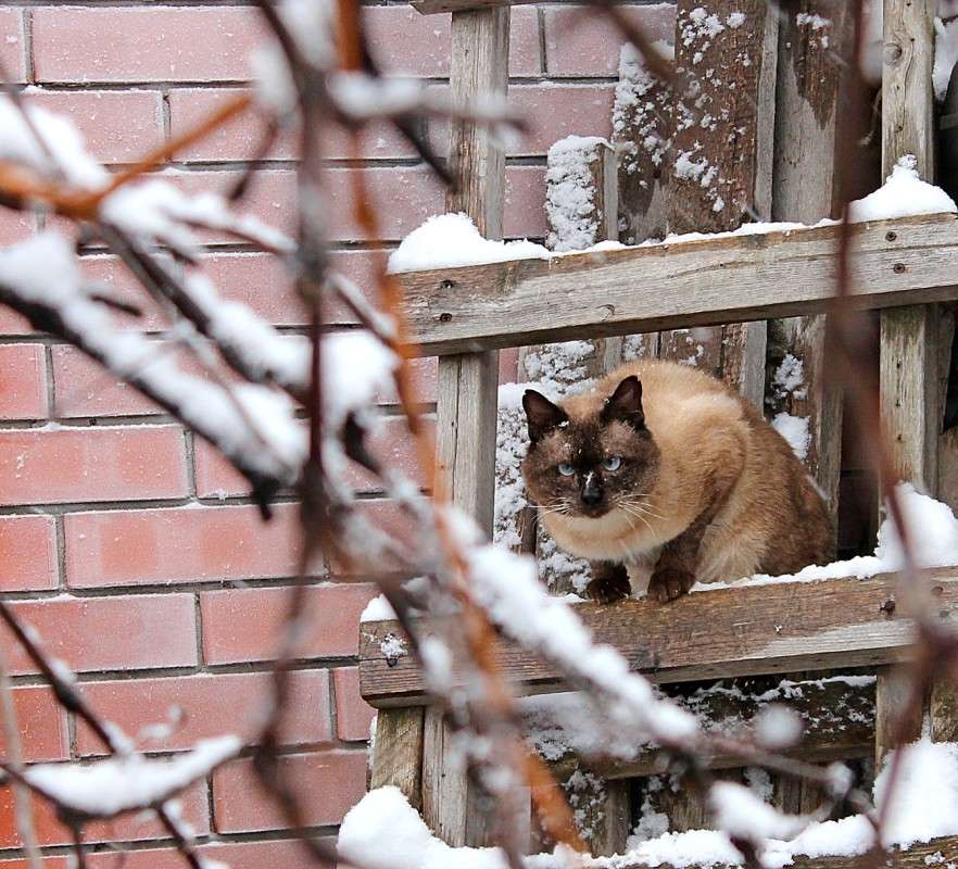 ����� ����� �����  �� PhotoGeek.ru #�������� ��� #�������� ���