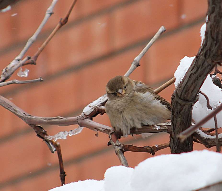 ... ����� �����  �� PhotoGeek.ru #�������� ��� #����� ��� ��� ���������