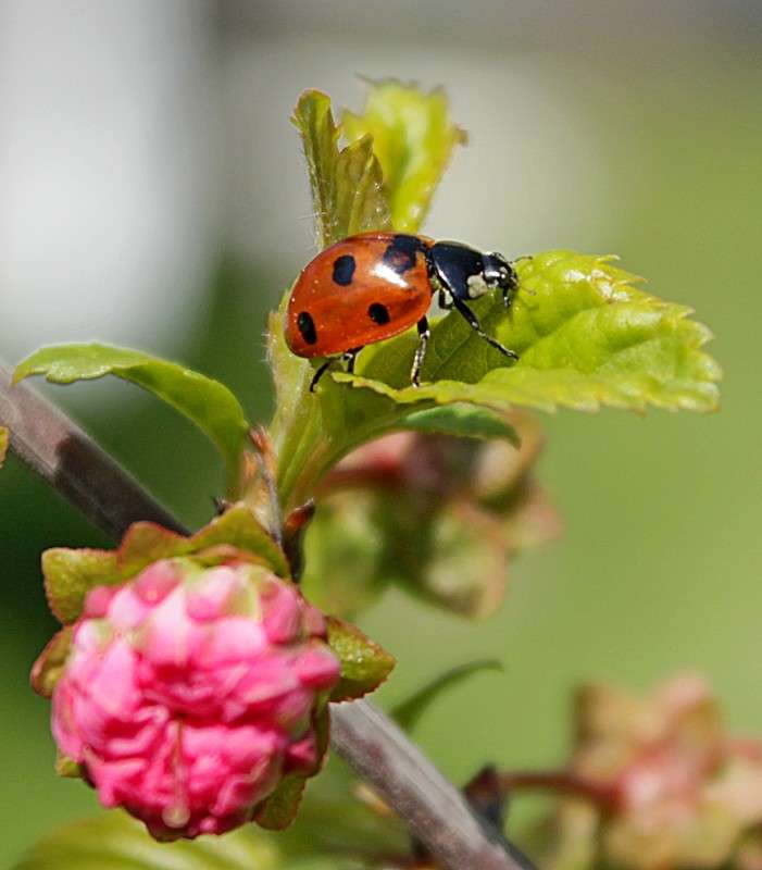 ��� ������� ����� �����  �� PhotoGeek.ru #�������� ��� #������ ��� ������� #����� ��� ��� ��������� #���������