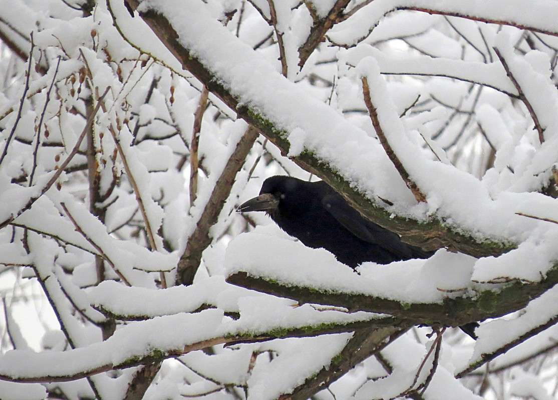 ���������������! ����� �����  �� PhotoGeek.ru #�������� ��� #������ ��� ������� #����� ��� ��� ��������� #����� ��������������