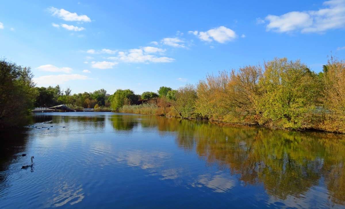 ������ ����� �����  �� PhotoGeek.ru #������ ��� ������� #��������� #����� ��������