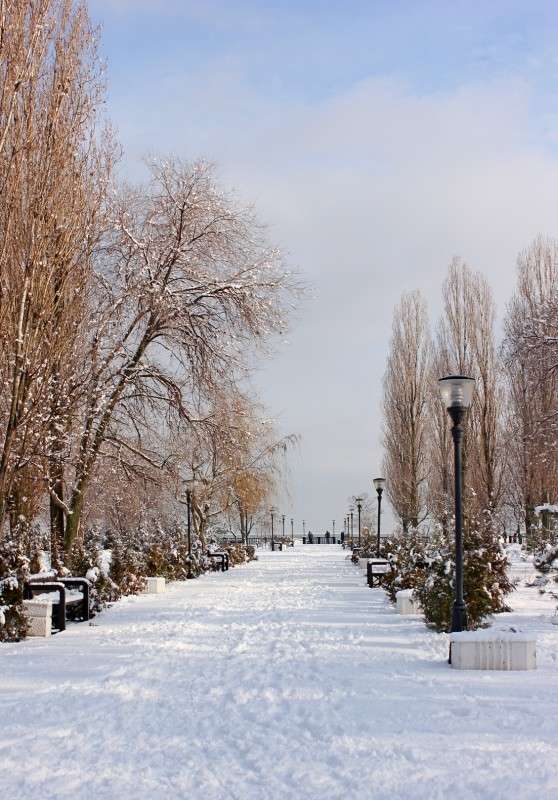 ����� � ���� ����� �����  �� PhotoGeek.ru #������ ��� �������