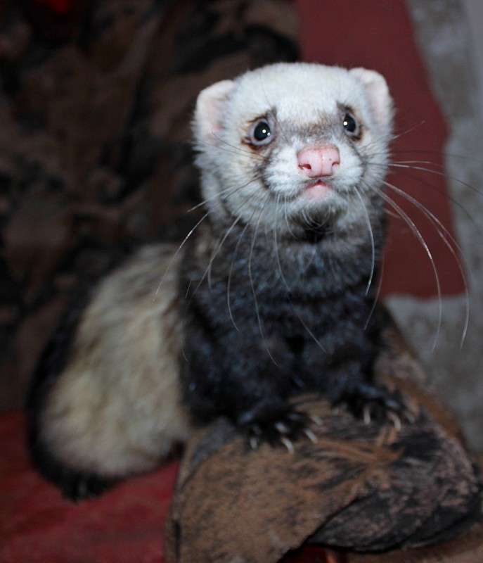 ... ����� �����  �� PhotoGeek.ru #�������� ��� #������� #�������� ���