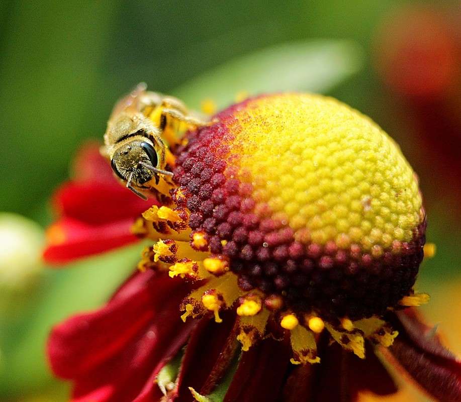 ... ����� �����  �� PhotoGeek.ru #����� #�������� ��� #����� �������������� #���������