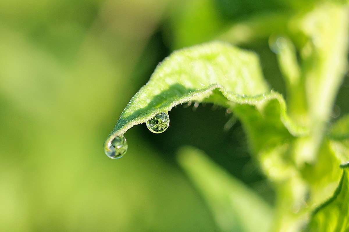 ... ����� �����  �� PhotoGeek.ru #����� #������ ��� ������� #����� ��������������