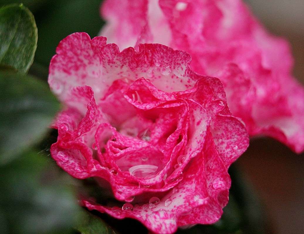 ������ ����� �����  �� PhotoGeek.ru #����� #������ ��� ������� #����� ��������