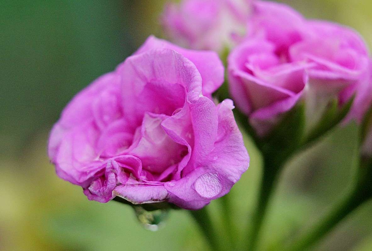 ������ ����� �����  �� PhotoGeek.ru #����� #������ ��� �������