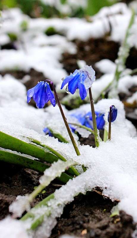 ���� ��������� ����� �����  �� PhotoGeek.ru #������ ��� ������� #���������