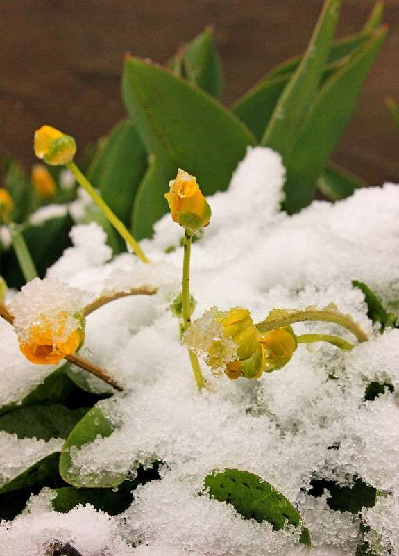 ���� ��������� 2 ����� �����  �� PhotoGeek.ru #������ ��� ������� #��������� #����� ��������