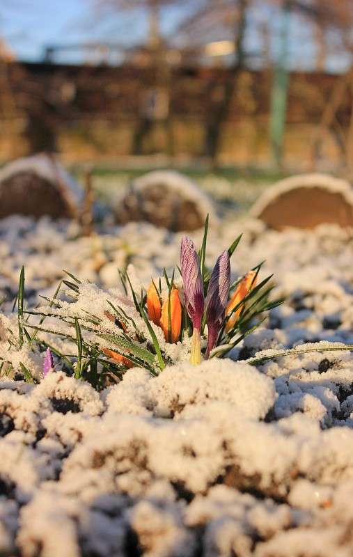 ... ����� �����  �� PhotoGeek.ru #������ ��� �������