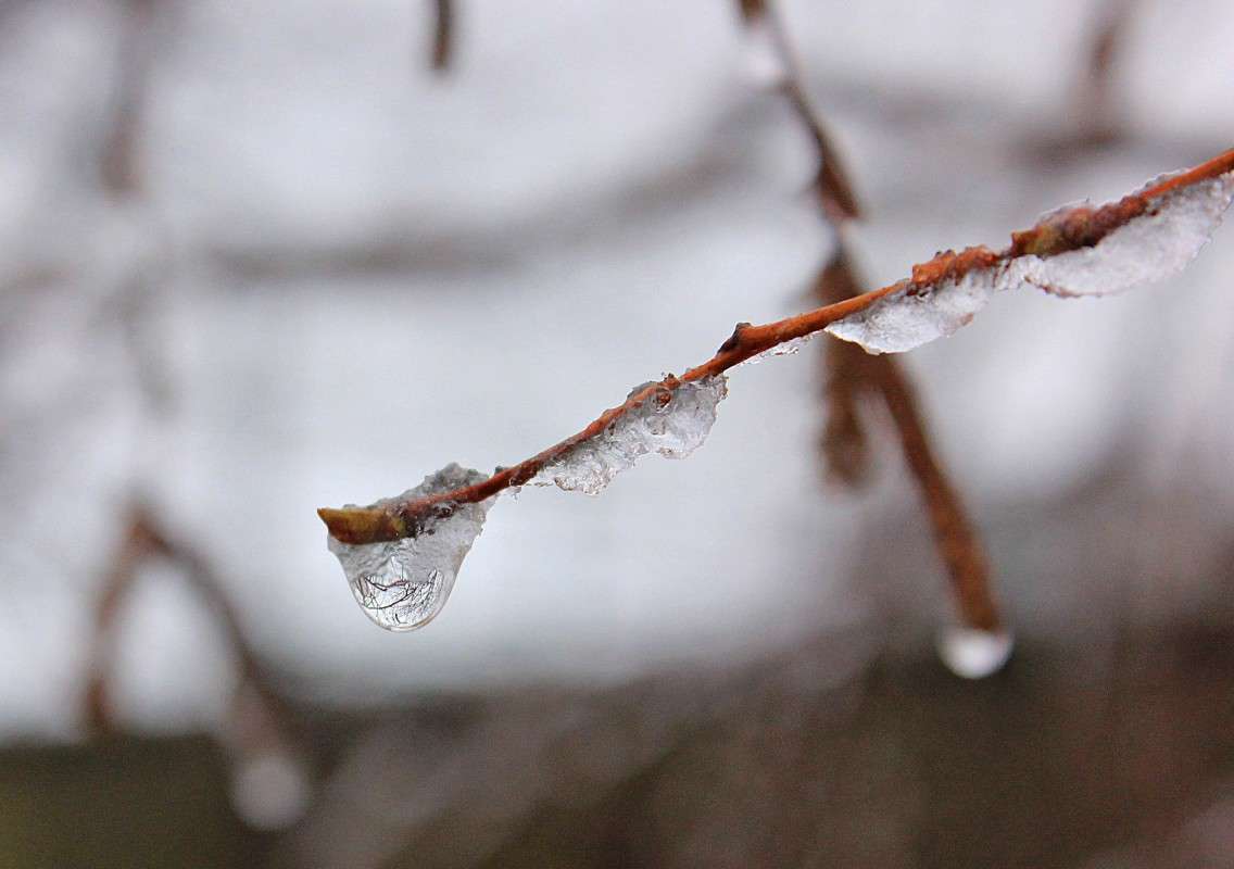 ����� ����� �����  �� PhotoGeek.ru #������ ��� ������� #����� ��������������