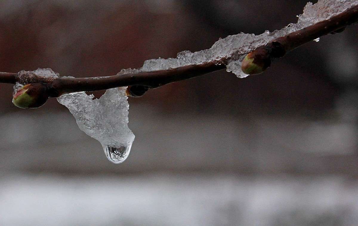 ��� ���� ����� ����� �����  �� PhotoGeek.ru #������ ��� �������