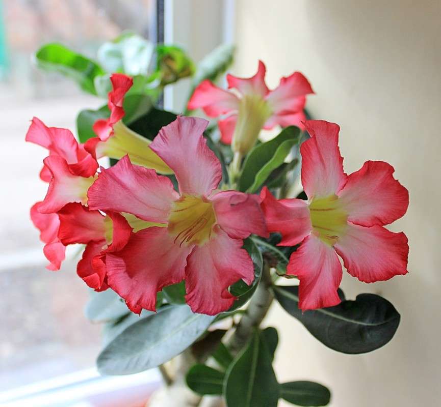 ... ����� �����  �� PhotoGeek.ru #������ ��� ������� #����� ��������������