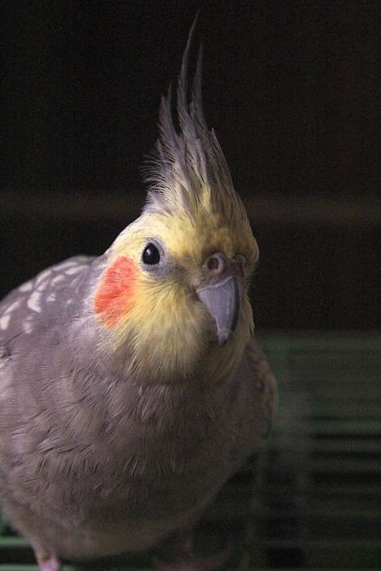 ... ����� �����  �� PhotoGeek.ru #�������� ��� #������� #�������� ���